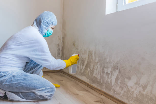 Commercial Mold Remediation assessment for commercial property in Williamsburg